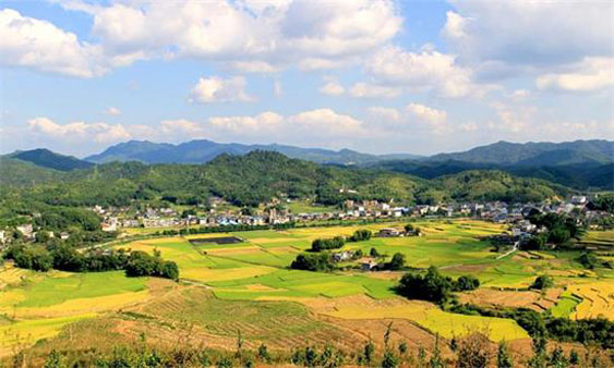 6个被警告，5个被降格 浙江特色小镇启示录