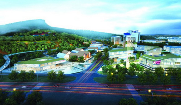 蒋正华：推动全国智慧康养特色小镇建设