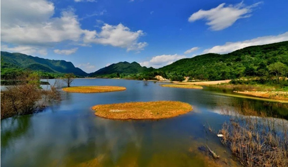 从“空心村”到康养旅游特色小镇——月坝村“变身记”