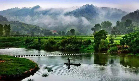 最甜杨梅特色小镇：奏响乡村振兴最强音