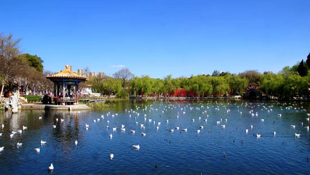  深圳购物中心15大ip展，打开商业运营新思路