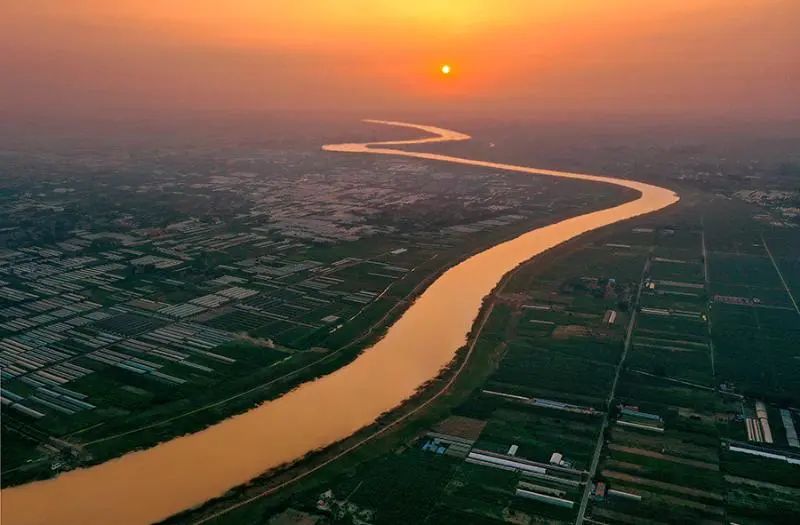 小县城如何逆袭？这个遍地是梨的城市，给出了答案