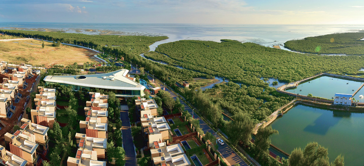 精耕细作：eod模式下半场发展节奏