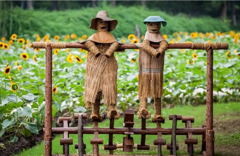 文化创意产业赋能乡村旅游发展