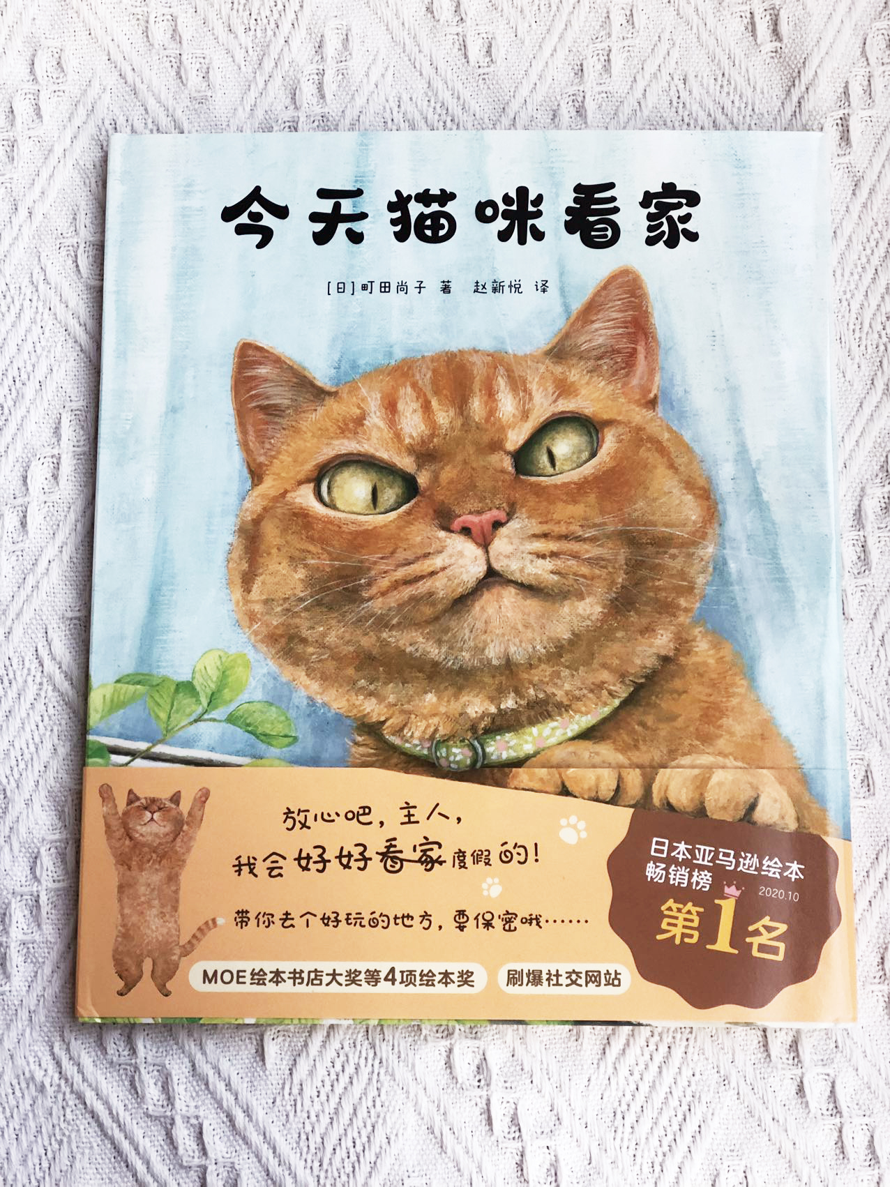 2023年终ip大盘点