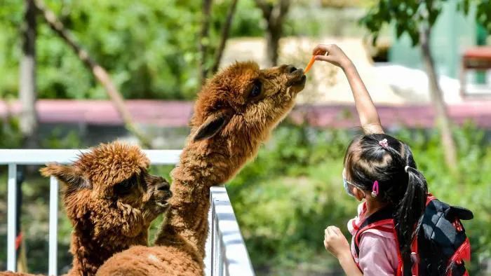 势能飙升的文旅思维，如何缔造商业消费新主场？