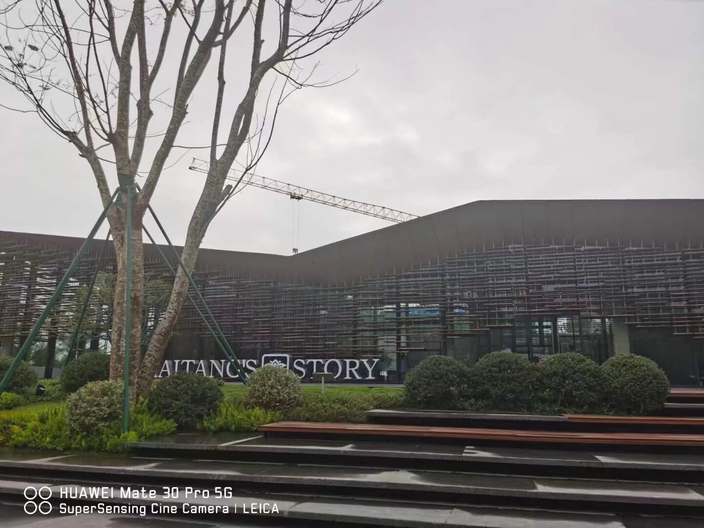 春节多地商场“上大分”，行业小阳春会持续吗？