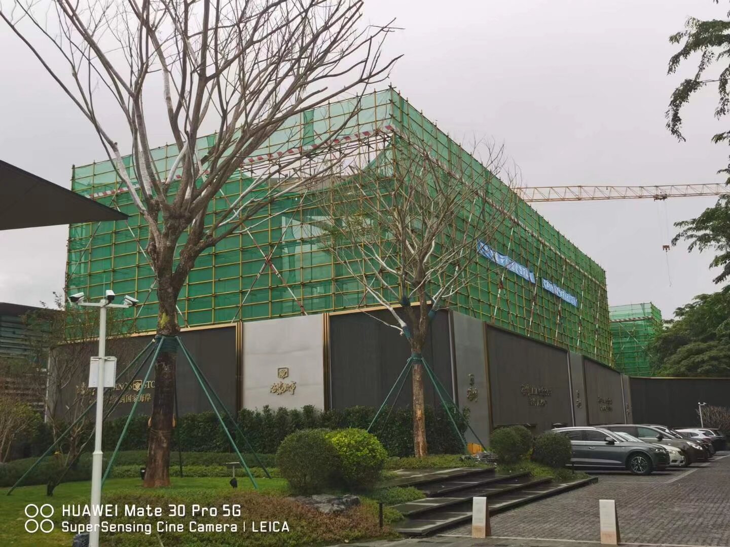 为什么打造独特人设，成为了商业新潮流？