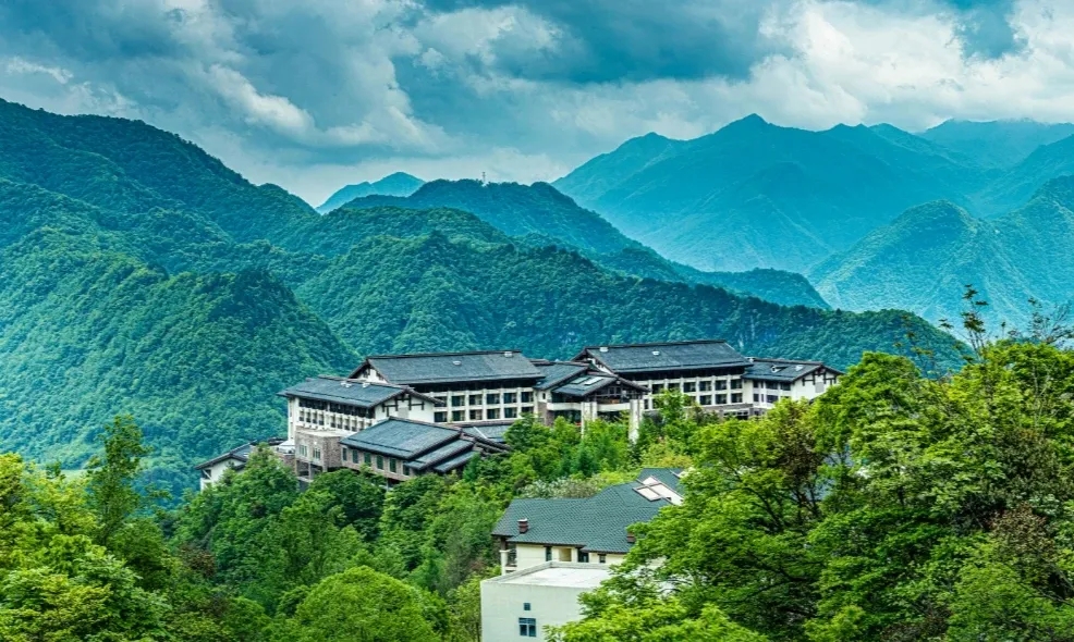 发展森林康养产业如何做？