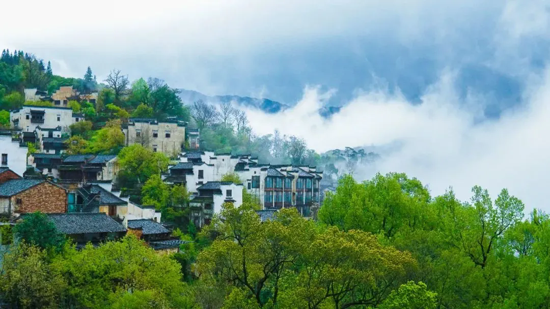 2024年上半年，旅游市场的热与冷