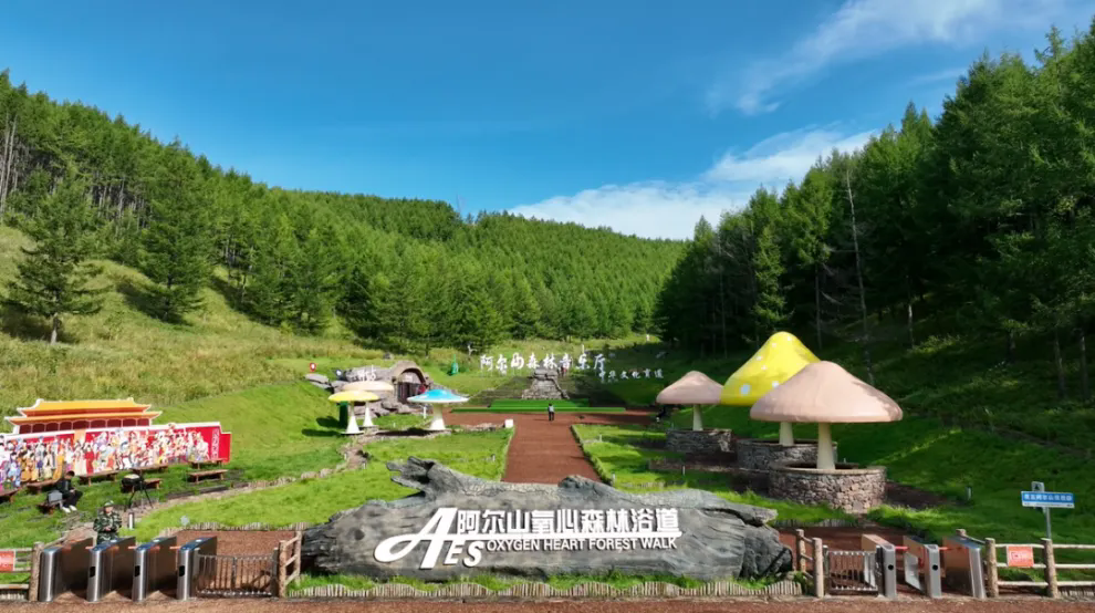 森林旅游的内涵、发展动因及案例