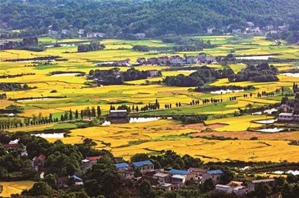 乡村振兴背景下农文旅融合发展的实现路径