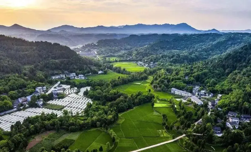 多样化途径发展新型农村集体经济