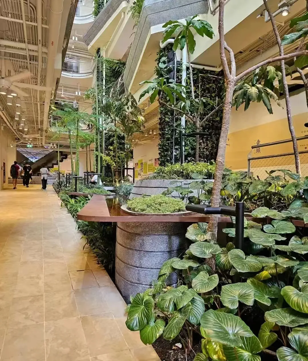 曼谷商业十年：文化交融下的商业创新趋势！