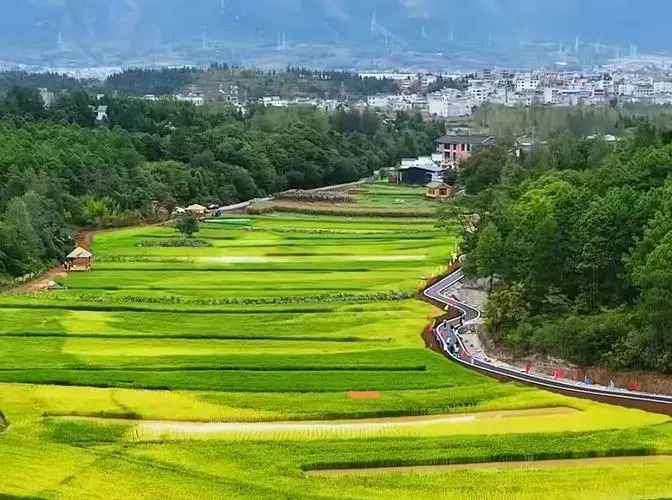 田园综合体与其他乡村旅游发展模式有何不同？