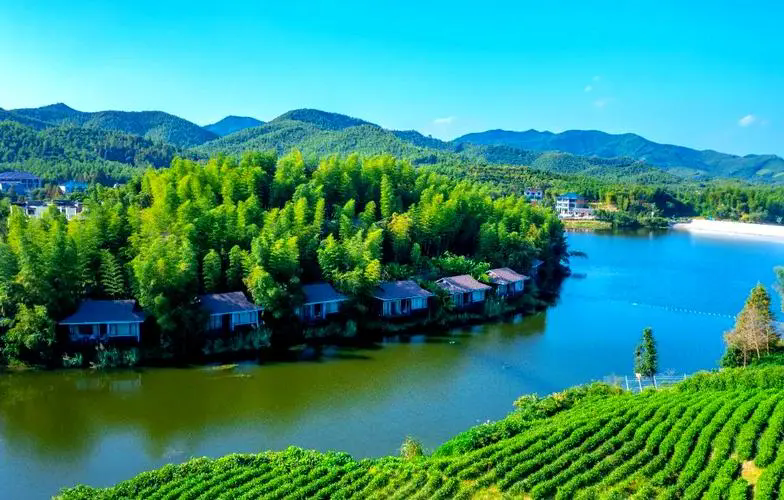 整村运营：打造“村域经济”，激活乡村闲置资源