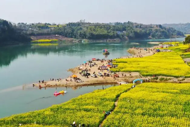 乡村振兴实施过程中如何发展乡村产业