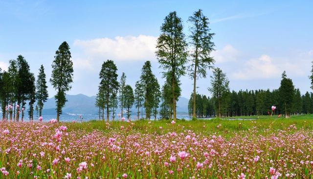 如何打造特色旅游文化小镇?
