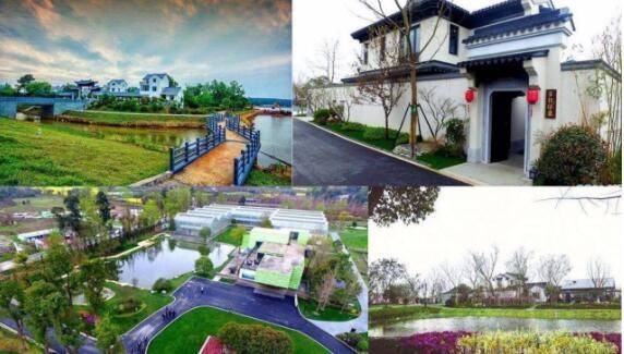 农业特色小镇规划要点及步骤！