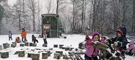 年收费19 .8万的“森林幼儿园”运营需要注意什么呢?