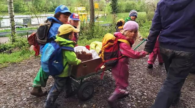 年收费19 .8万的“森林幼儿园”运营需要注意什么呢?