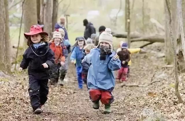 年收费19 .8万的“森林幼儿园”运营需要注意什么呢?