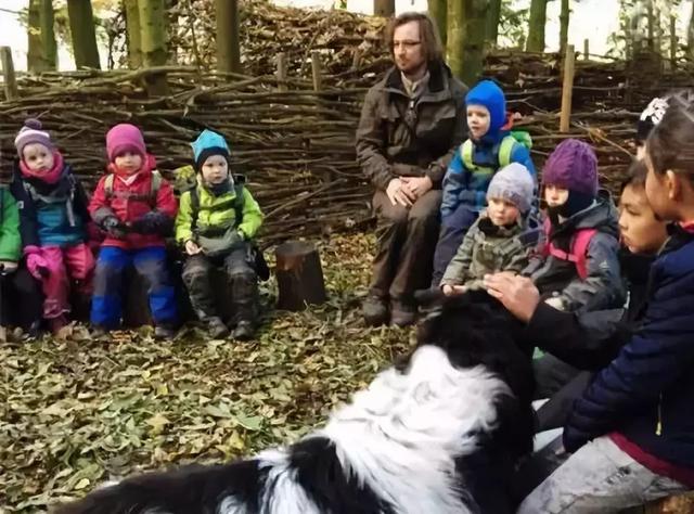 年收费19 .8万的“森林幼儿园”运营需要注意什么呢?