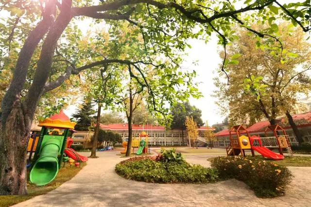 年收费19 .8万的“森林幼儿园”运营需要注意什么呢?