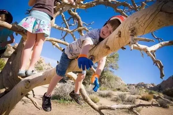 年收费19 .8万的“森林幼儿园”运营需要注意什么呢?