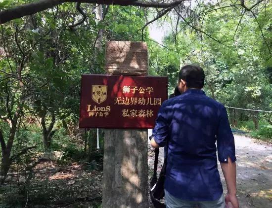 年收费19 .8万的“森林幼儿园”运营需要注意什么呢?