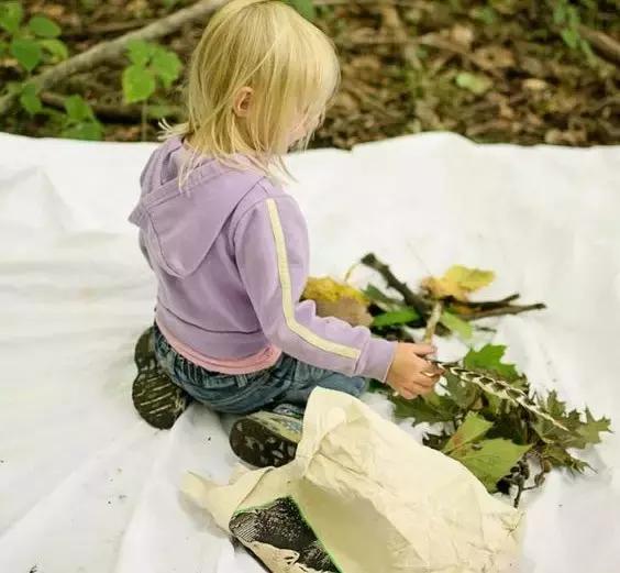 年收费19 .8万的“森林幼儿园”运营需要注意什么呢?