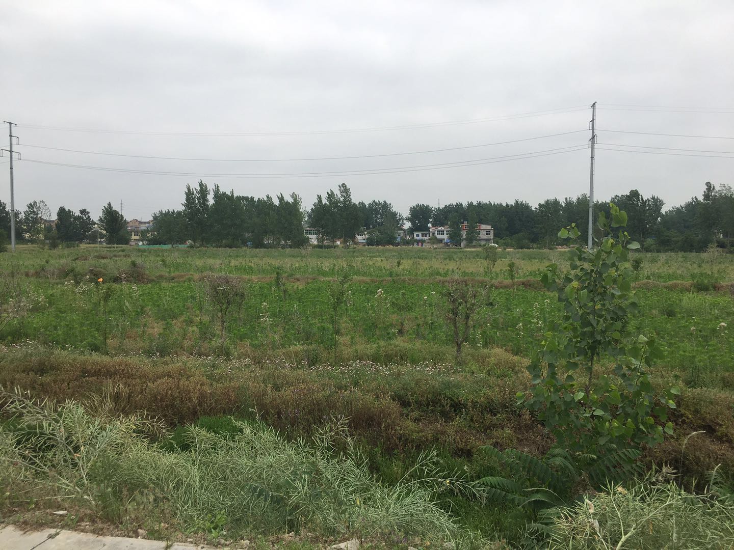 商业地产项目考察