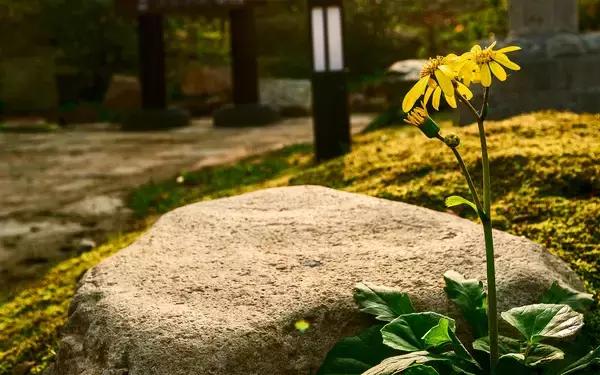 灵山禅意小镇：拈花湾