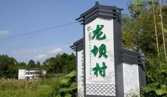 营山县龙坝村：知青文化特色小镇