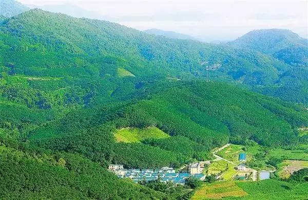 乡村旅游如何开发？成功案例借鉴、失败案例反思及开发模式分析