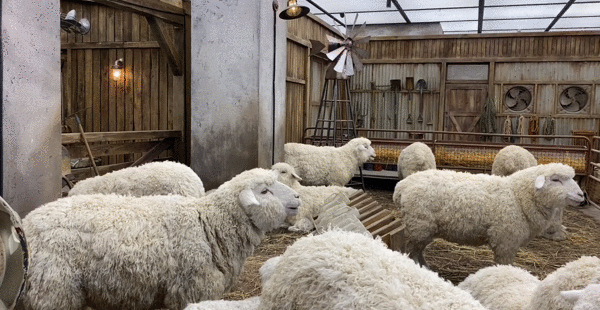 沉浸式体验：从1.0到3.0