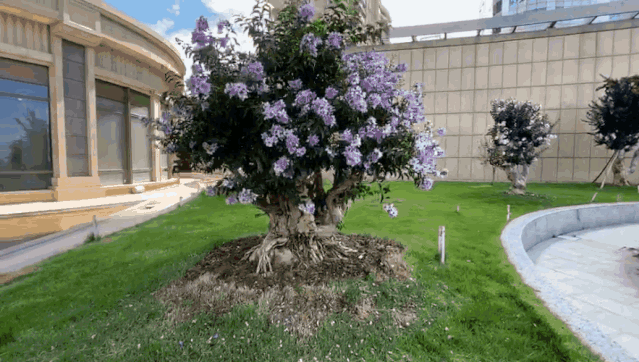 沉浸式体验：从1.0到3.0