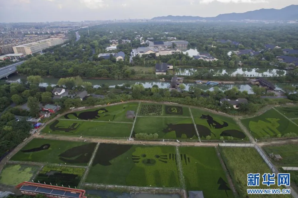 杭州gdp，为何始终不如成都武汉？