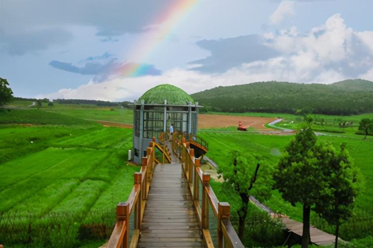 三瓜公社：三产融合，小而美打造乡村振兴样本