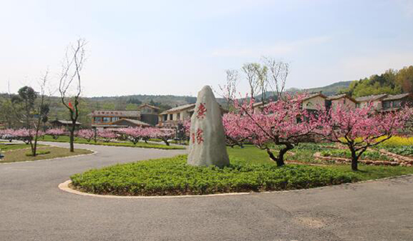 成都金堂破局特色小镇建设打造乡村振兴新示范