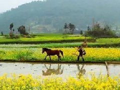 旅游行业2021年艰难的开局