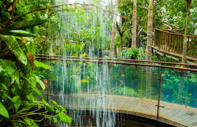 别让客流困在“盒子”里