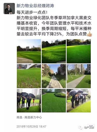 一个有生命力的社区该是什么样？