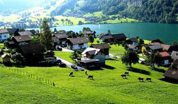 新西兰最成功的农业特色小镇，竟是世界奇异果之都！