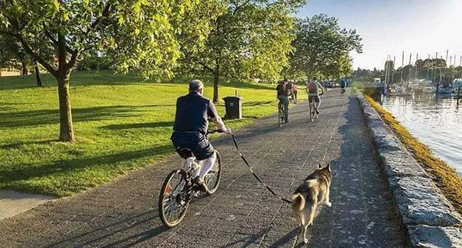 2021年康养小镇有哪些发展路径？