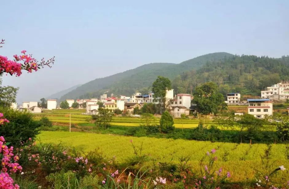 特色小镇产业发展模式分析