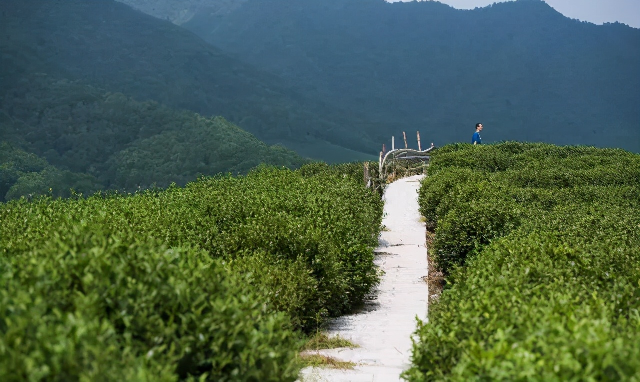 知名文化旅游小镇开发模式分析