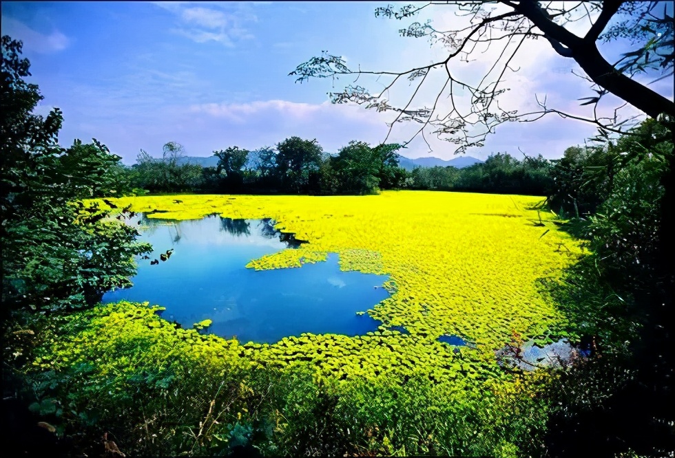 文旅项目策划10大要点