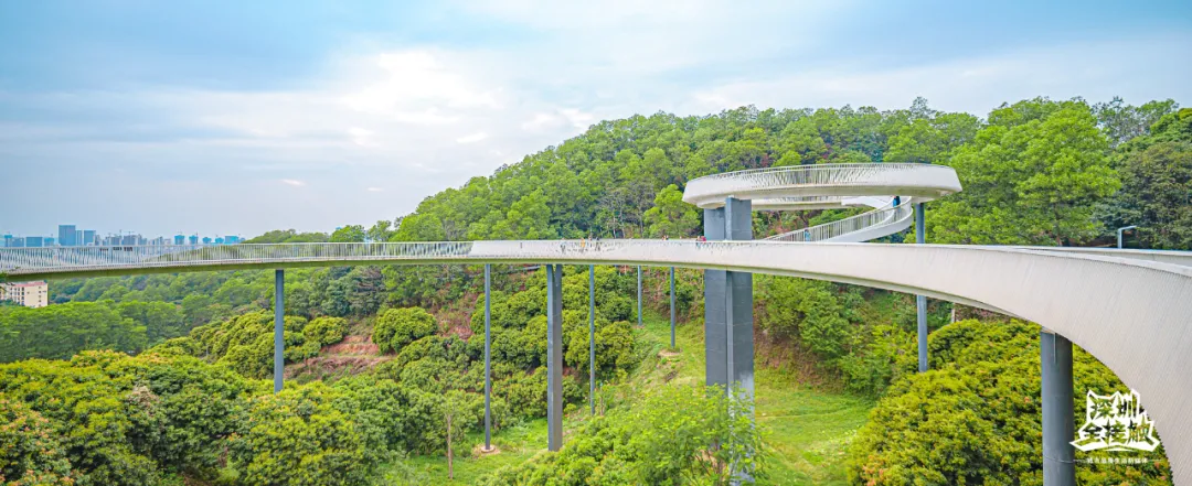 一个敢想一个敢建,盘点国内六大创意玻璃桥