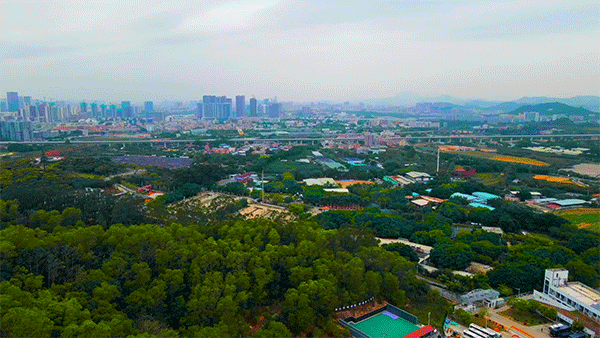 一个敢想一个敢建,盘点国内六大创意玻璃桥